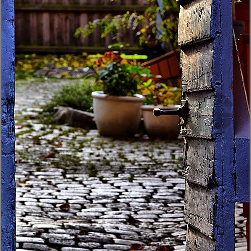 Photo ID 143556