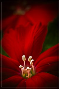 Uber Exif Photo