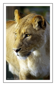 Uber Exif Photo
