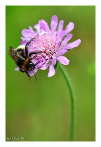 Uber Exif Photo