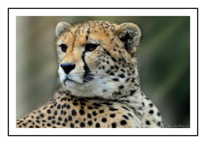Uber Exif Photo
