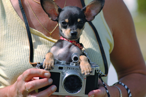 Uber Exif Photo