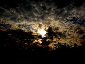 Uber Exif Photo