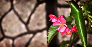 Uber Exif Photo