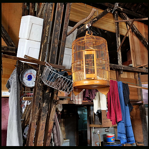 Photo ID 350447