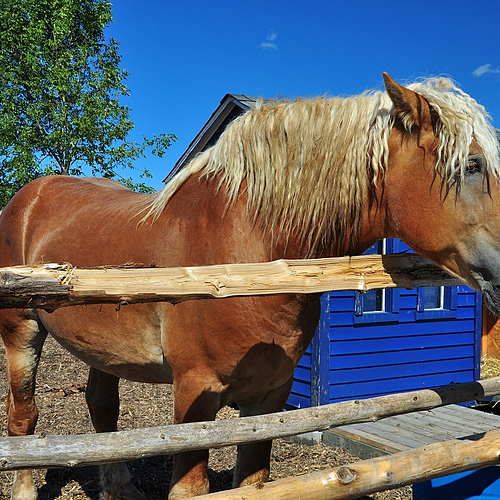 Photo ID 121476