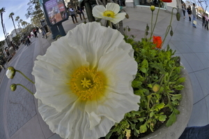 Uber Exif Photo