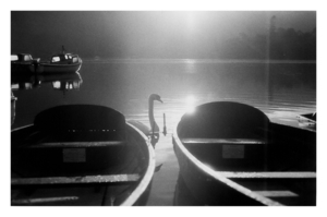 Uber Exif Photo