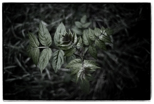 Uber Exif Photo