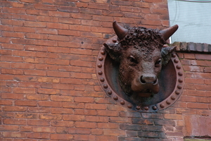 Uber Exif Photo