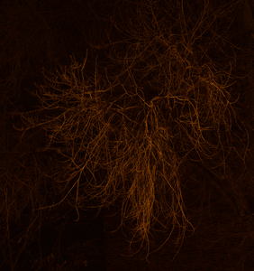 Uber Exif Photo
