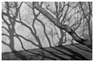 Uber Exif Photo