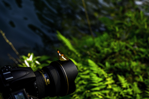 Uber Exif Photo