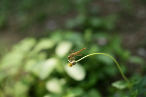 Uber Exif Photo