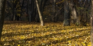 Uber Exif Photo