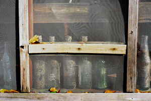 Uber Exif Photo