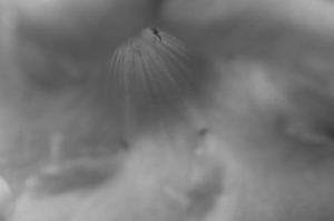 Uber Exif Photo