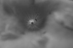 Uber Exif Photo