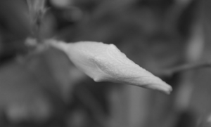 Uber Exif Photo