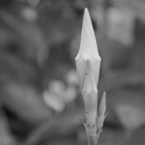 Uber Exif Photo