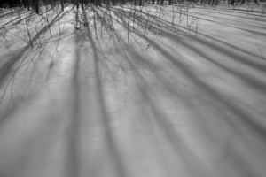 Uber Exif Photo