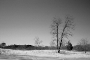 Uber Exif Photo