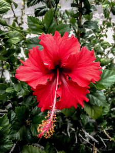 Uber Exif Photo