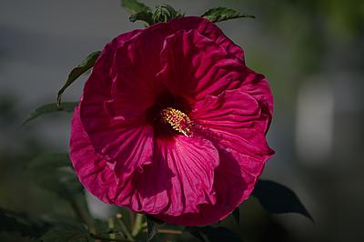 Uber Exif Photo