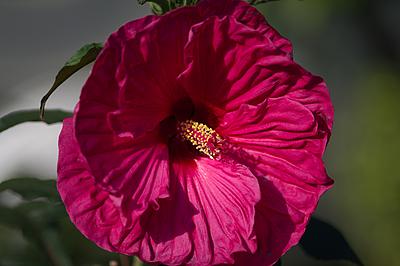 Uber Exif Photo