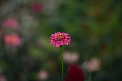 Uber Exif Photo