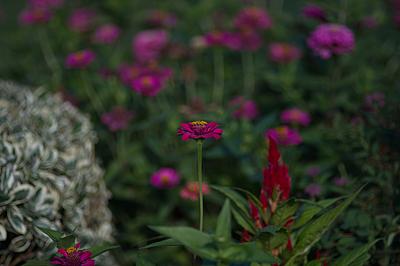 Uber Exif Photo