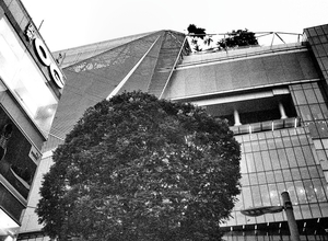 Uber Exif Photo