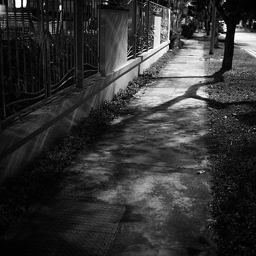 Photo ID 200095
