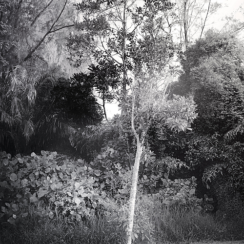 Photo ID 354801