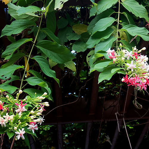 Photo ID 140128