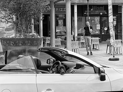 Uber Exif Photo