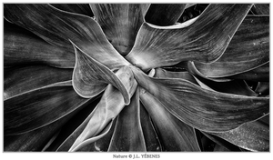 Uber Exif Photo