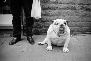 Uber Exif Photo