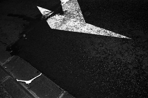 Uber Exif Photo