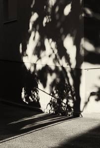 Uber Exif Photo