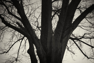 Uber Exif Photo
