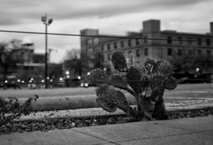 Uber Exif Photo