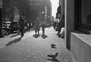 Uber Exif Photo