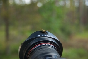Uber Exif Photo
