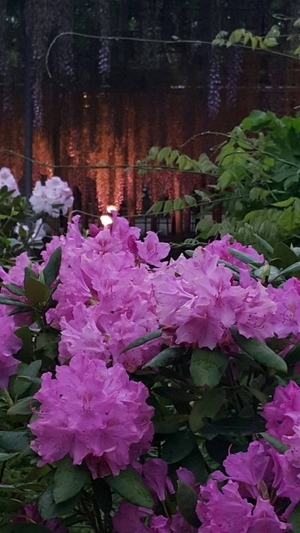 Uber Exif Photo