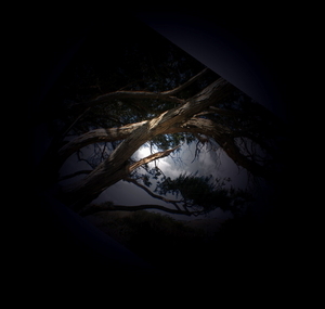 Uber Exif Photo
