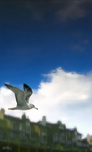 Uber Exif Photo