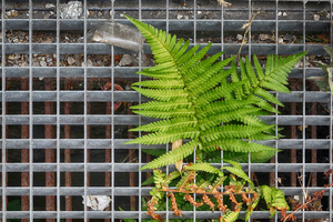 Uber Exif Photo