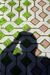Uber Exif Photo