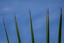 Uber Exif Photo